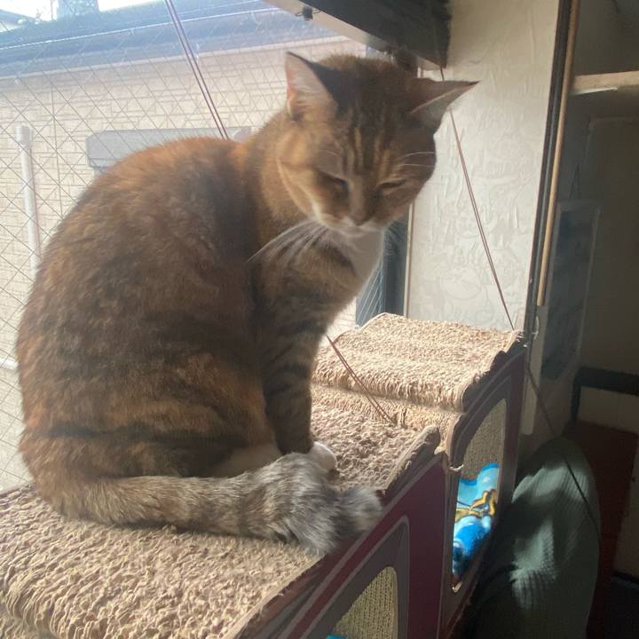 4284b49b beb8 4234 99ea 79d29dbb22a5 1671242954500