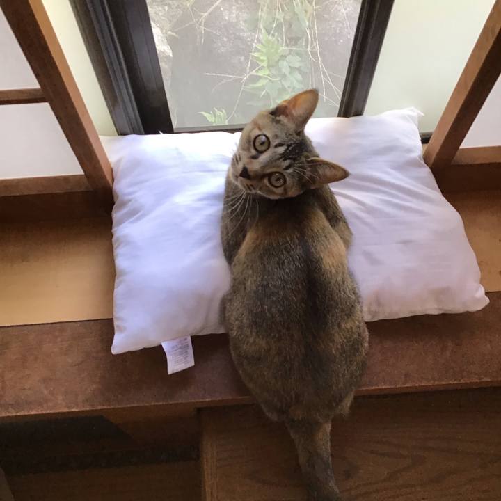 42858c50 70a4 4d00 a85d 929fa3767145 1573354061764