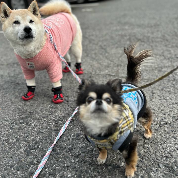 4285e44d af66 4797 86c5 933e447ae475 1742798763624