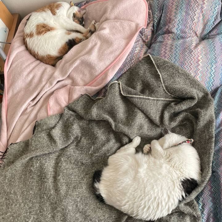 428616b7 7f82 41b8 80a5 750669f28747 1640407695043