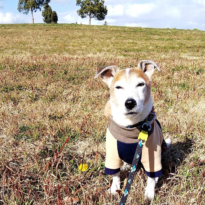 4286249e ef14 4bb1 93e6 8b6c4b115231 1581922997086