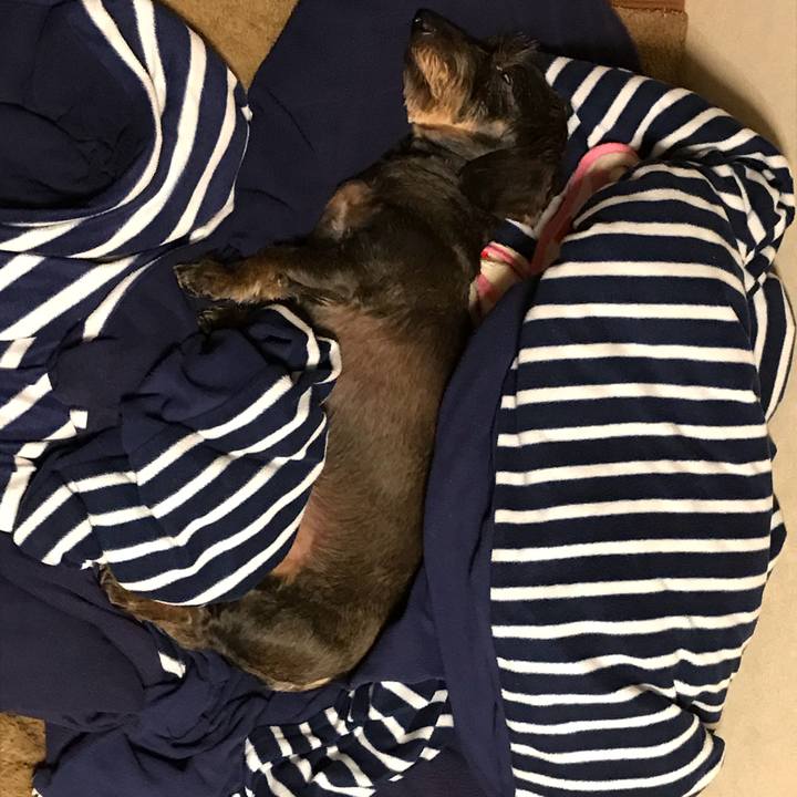 42862daf 1fef 477d 85b1 60a911d42707 1541591679593