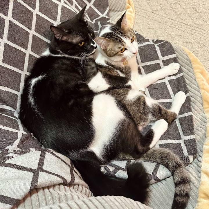 42865295 075b 452c af5f 49cc534dc04d 1768904400687