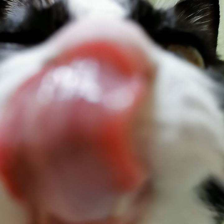 42868eae 6b18 4082 84c8 23634488d86d 1647487360659