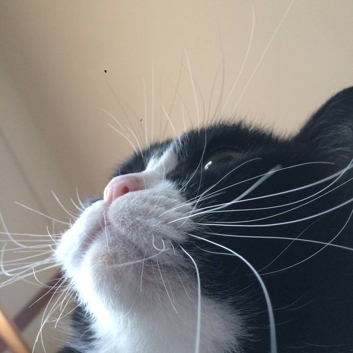 4286dfcd e73f 4e65 8e2c 6064c5d9b1c8 1510965075959