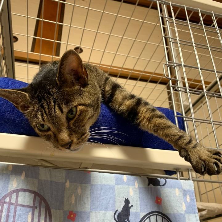 4286eaba 4b38 4d20 827e d9e59a8d8b6c 1567559012133