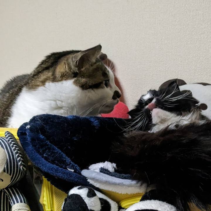 42871e92 4eaa 412c 9582 95481e2224cb 1708687399293