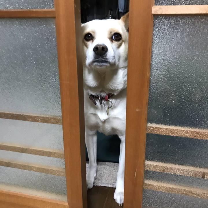 42872ac5 c84c 4da9 be94 c9ecffb44852 1579232279415