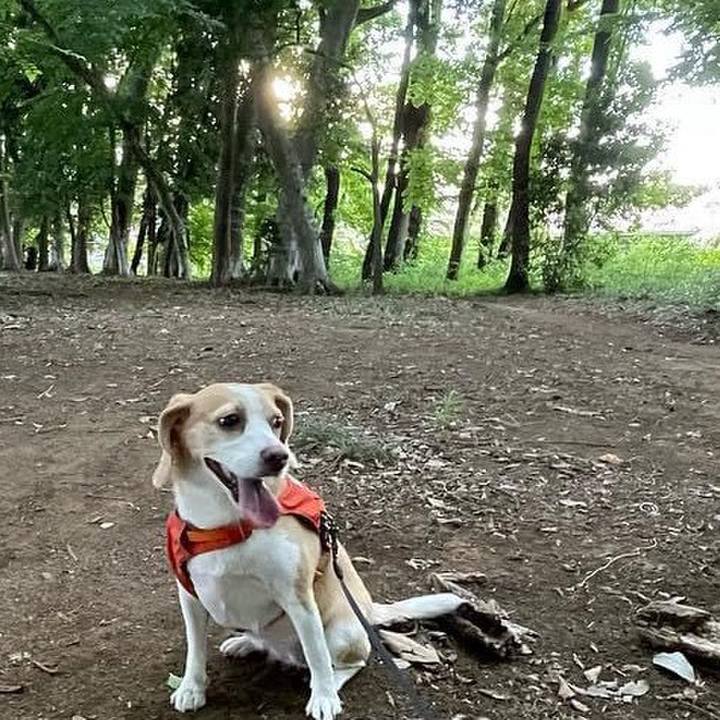 42876f04 a48e 42e5 b209 917ce1ced598 1659297957291