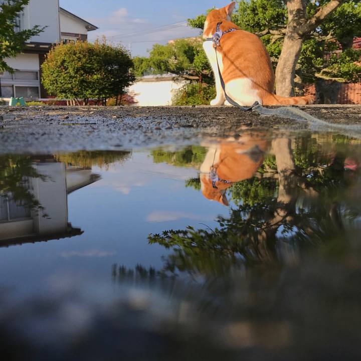 42877a27 57ff 4c4a b878 3c50afd3db42 1527844580295