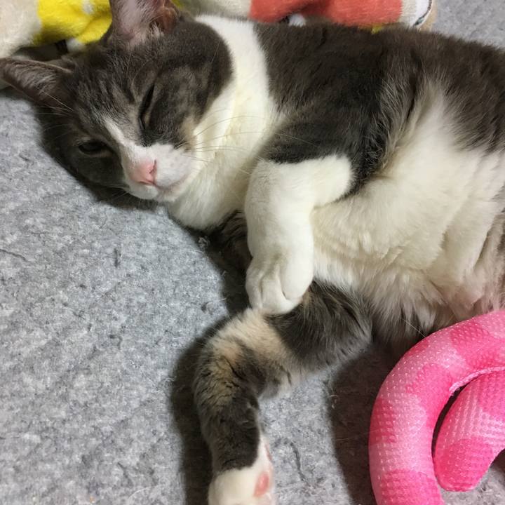 42878e0a b12f 4fcc a3bc 99c8f2504977 1524832928224