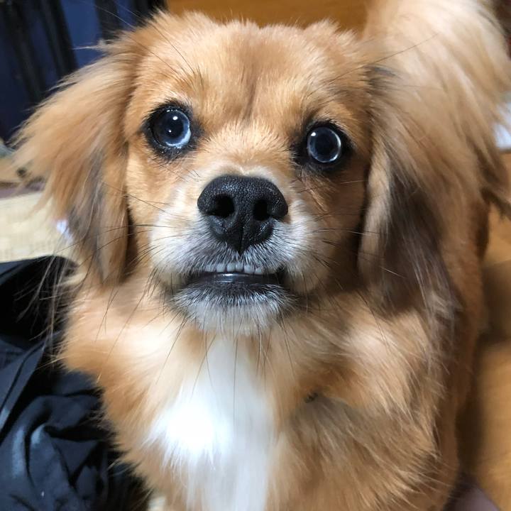 4287ade3 5632 4b02 ad8b c500f0c4461e 1656108914515