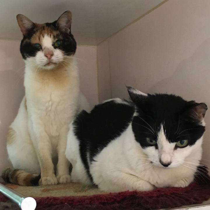 428807ca d517 4fad 964f 686256785d79 1508300429951