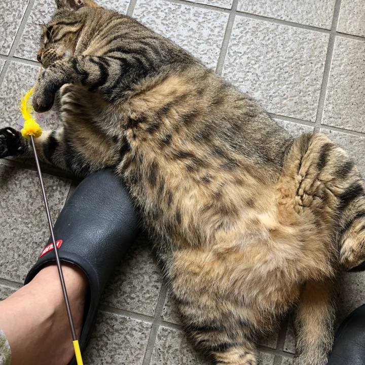 42880861 639d 450b b111 6453ee2e27a8 1534308266158