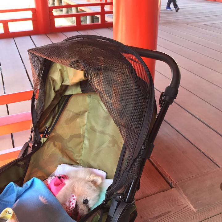 4288169e 9b48 4f21 8902 11ed142b55a9 1542539821792