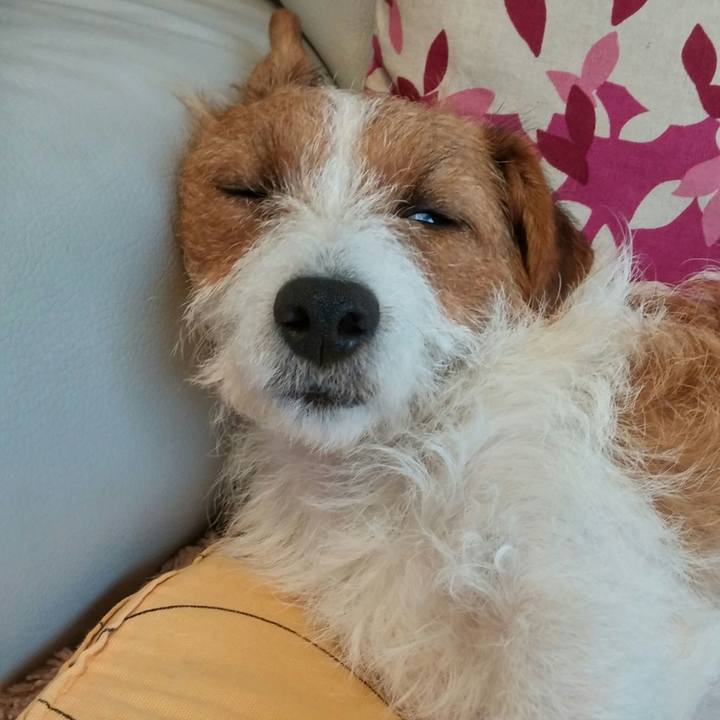 42881e96 147c 4f6f 96a3 815af90afdbc 1541634656429