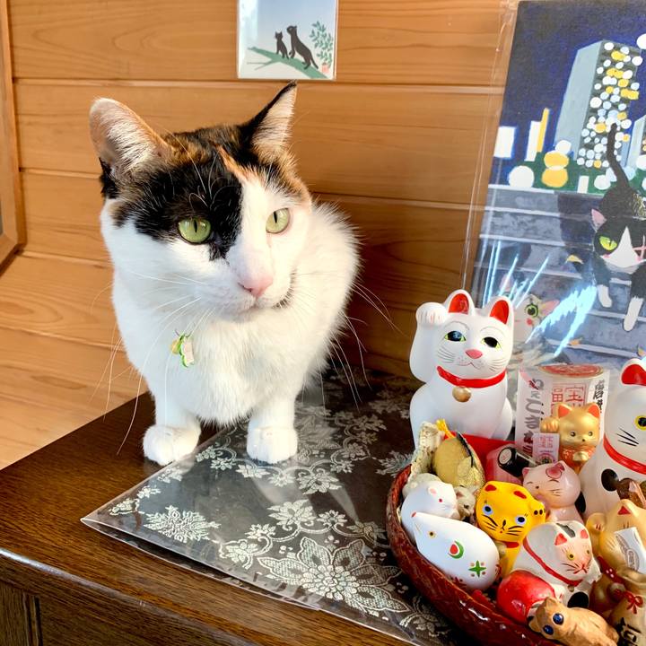 42883fe2 2100 4db8 ab8d da398465dcff 1582509459600