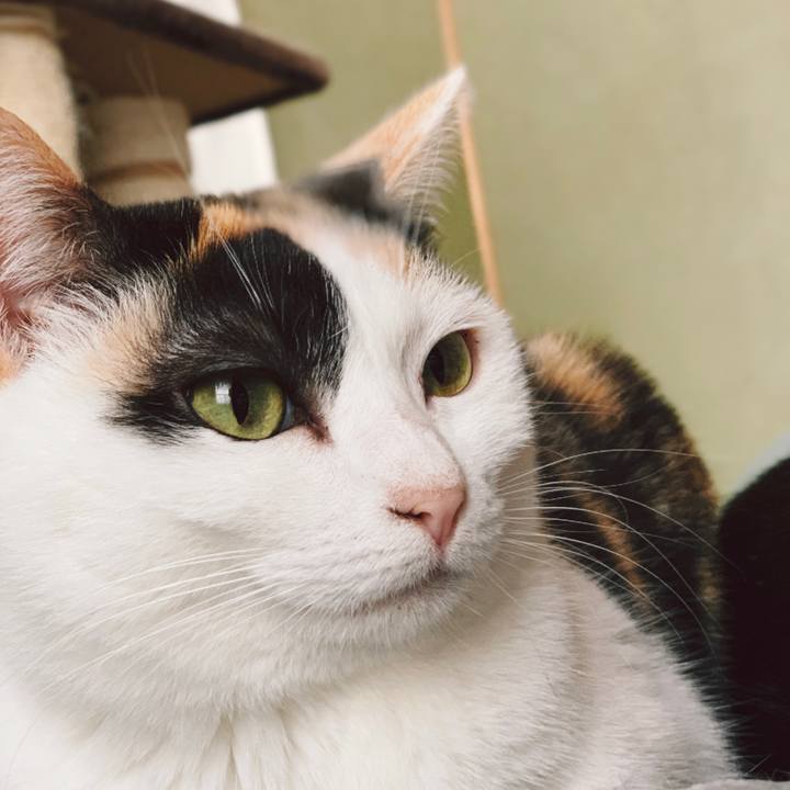 42884c1f b413 468a 8f1f 0a29567a6abf 1556935278502