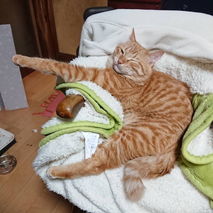 428880bf 6685 4b0c 9bc8 8ab9bb40e96f 1640945901593