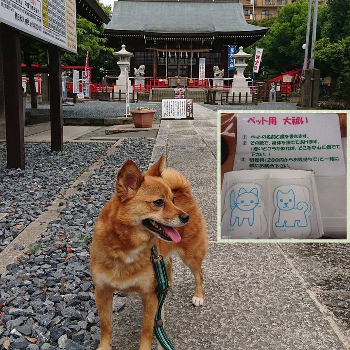 4288abdc 6990 4106 ab62 fa2a545cfad0 1561079244354