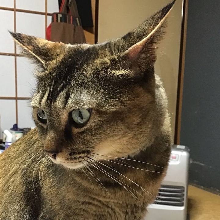 4288bdcf c930 4b90 bc39 9ca67b3c90f8 1672924731053