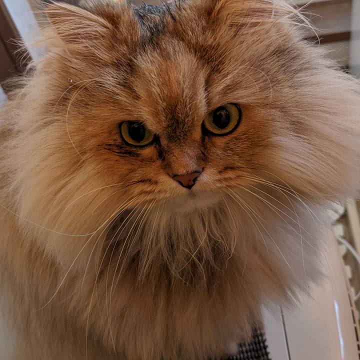 4288cdbb 7f9d 4391 8855 dba3e916c013 1641874467790