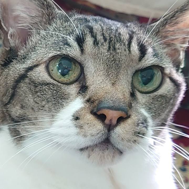 42890177 4d84 40b1 a7a8 eec9e1df95a7 1769849187098