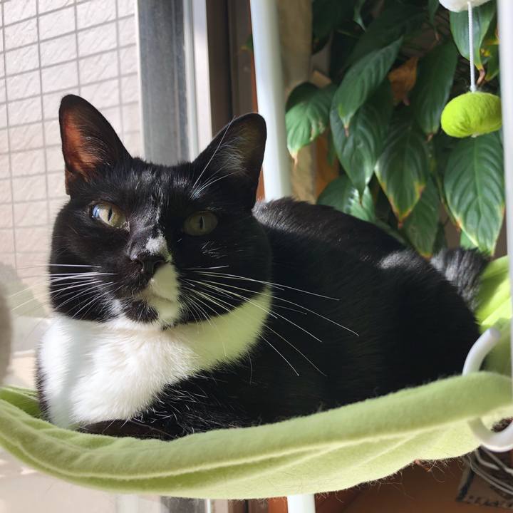 4289073d 8592 418a b107 da20f637f8ca 1515447977336