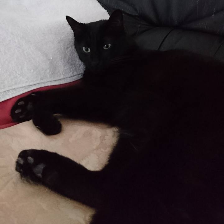 428913e5 d164 4b8a b8eb 7652c3d33815 1553314474943