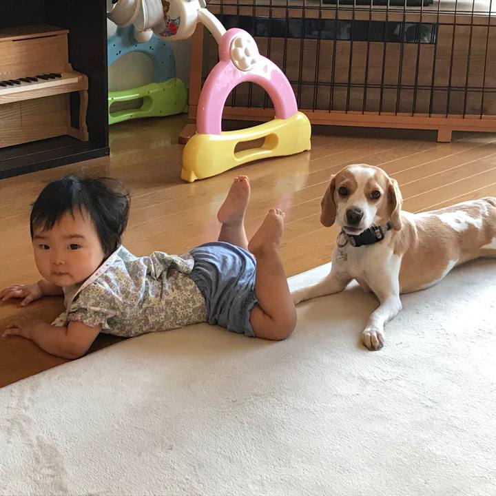 428919ca a192 4e35 82d9 027cb6f2823b 1626961909751