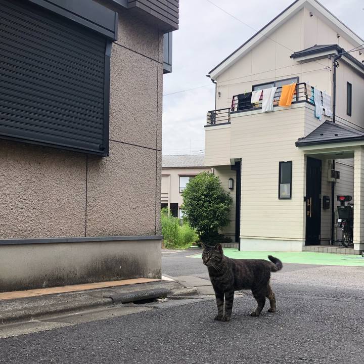 42891bb2 688a 486f 9a29 170f75f7bbd1 1560604210566