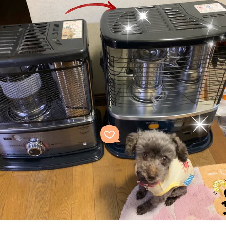 42892392 4652 4655 85e6 8801f5ba6002 1635929153285