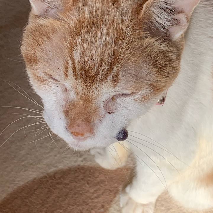 42893d36 eb8f 4a8e 8455 1d2838502e0c 1667099418696