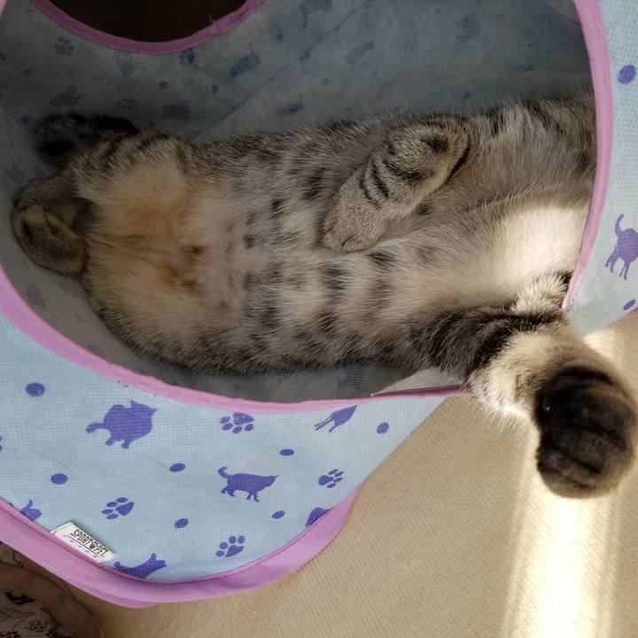 428968ac 337d 4949 8164 cffe817dbac2 1680093229445