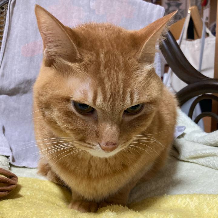 42896c62 94a1 4e47 9ad2 fb6642a33d96 1769086453572