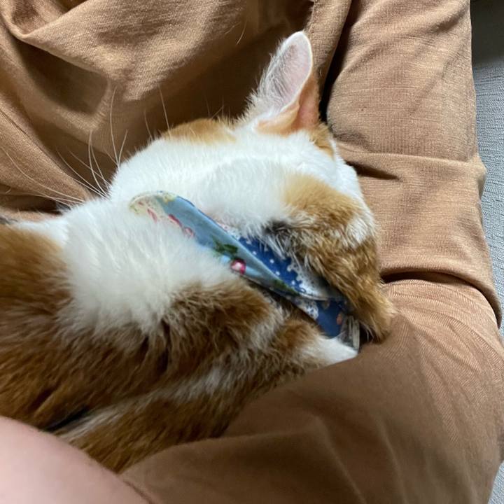 4289a862 306c 46c2 8cc1 e11eeb194c6b 1711982906267