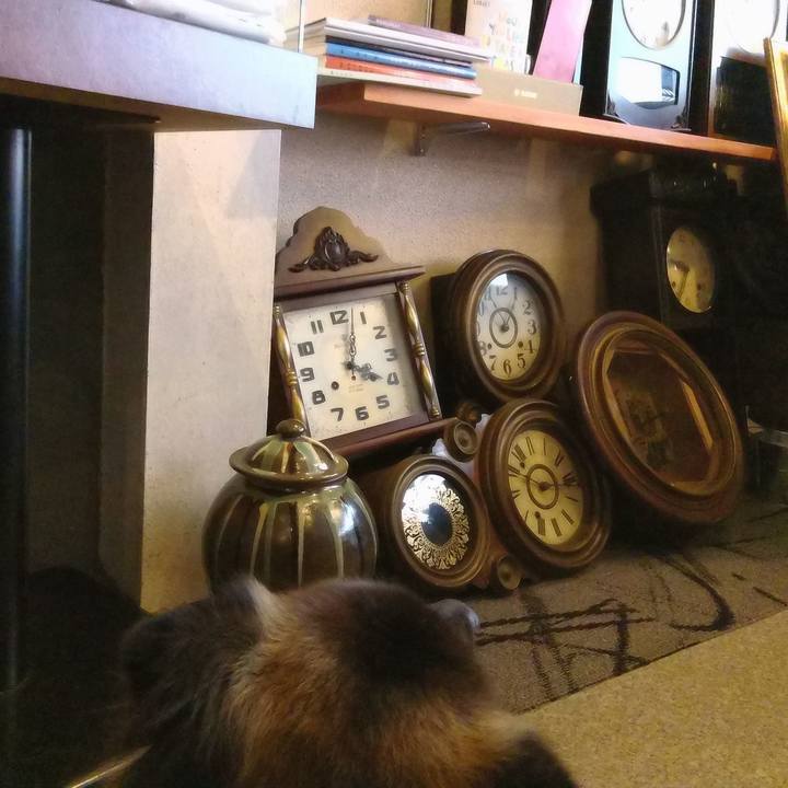 428a0408 9787 451a bcf5 d58fe9819f7a 1759633997758