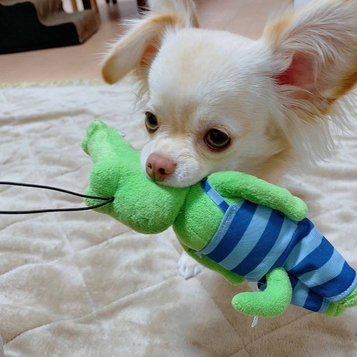 428a1a0e 6a2d 4114 879f 3af1fbeba5e5 1613105144811