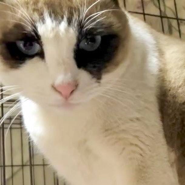 428a2adc bea7 45e7 8efd 7f657a03aea5 1737029050153