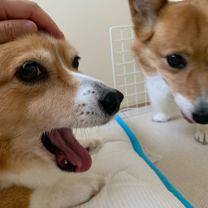 428a40ab 5204 4cdb b61e ffa662fd6f10 1689459911452