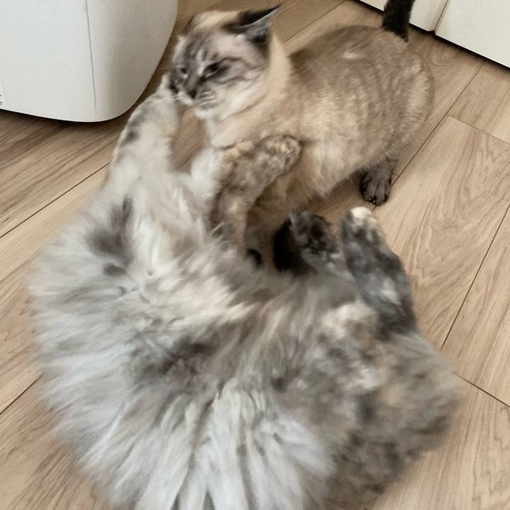 428a80fd 8f42 42ad ab92 f290495f2f08 1759105163445