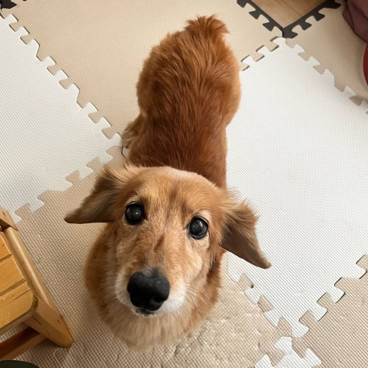 428ac181 4036 4ff5 88e6 6b429414195e 1648465879305