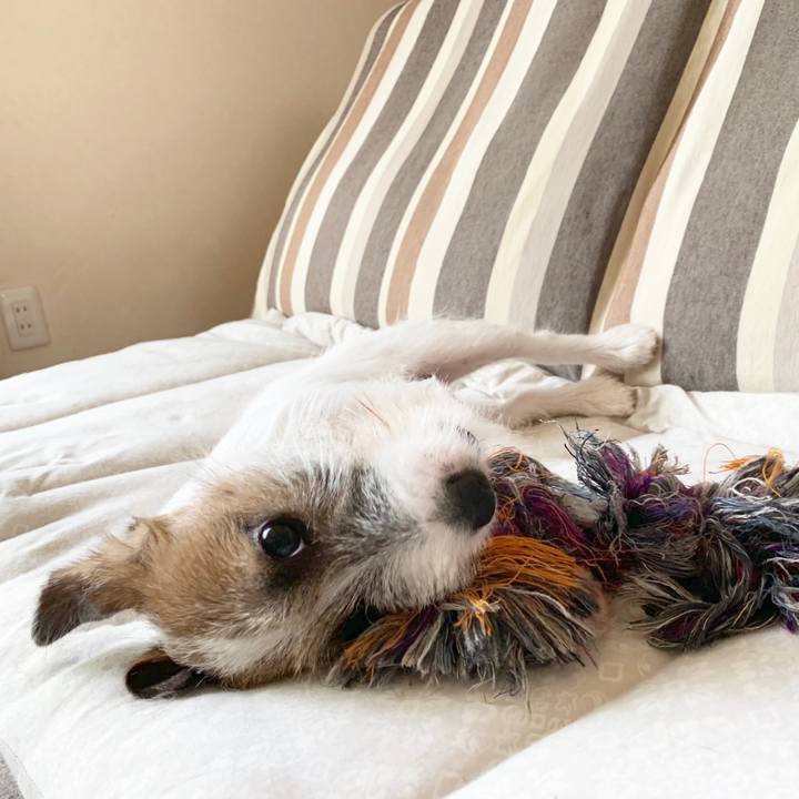 428aca22 9c6f 4b79 9130 e30c9221f7e4 1565078256932