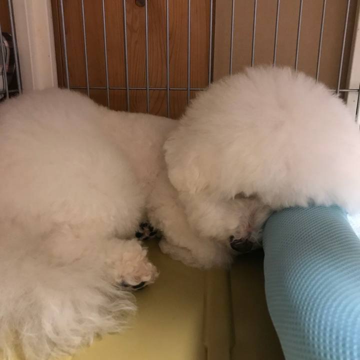 428ad0b9 c137 488d 868e 29f7fea49ed0 1537450156124