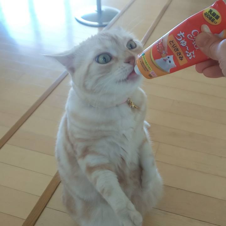 428ae406 808d 467e 880c 9ed3eec699f4 1558740923294