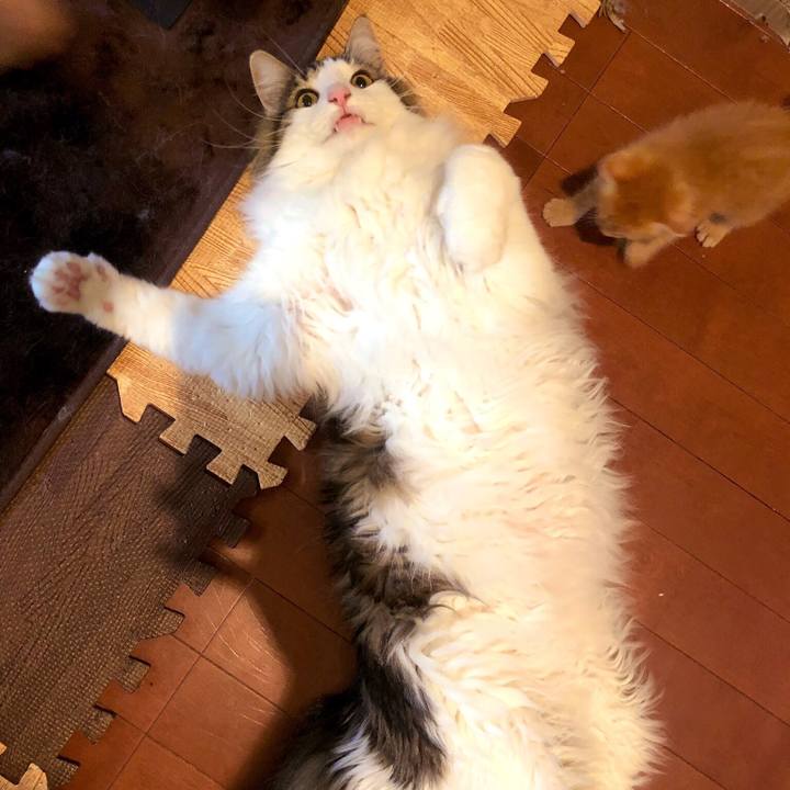 428b06e9 17a0 4cd5 bcdc 99f06b6e3910 1560467895153