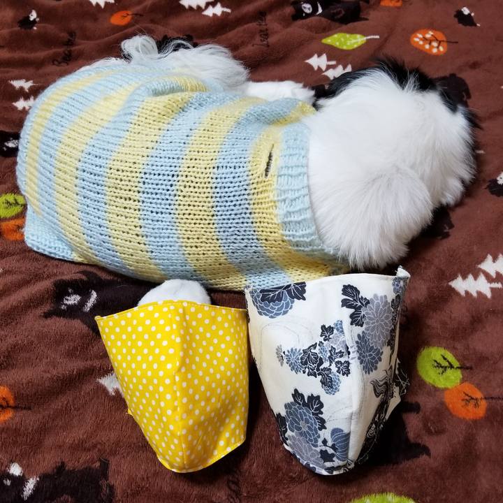 428b392b ecf1 45ac a608 d79456d8ad9f 1587382423534