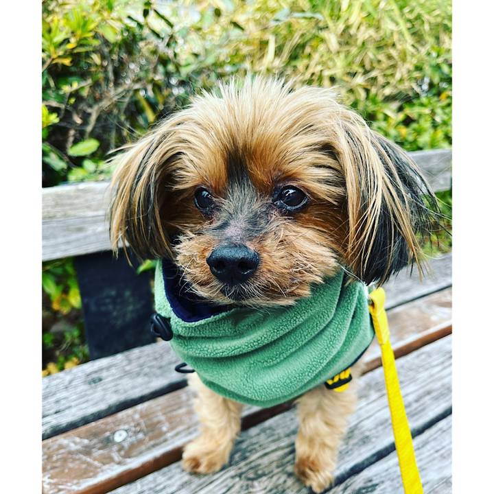 428b45ee 9ccb 4bf6 8478 9f00ff129a0b 1673939746470