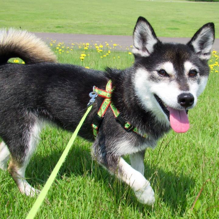 428b6a9e 859d 4d50 9705 4b3b386b67dc 1625905816805