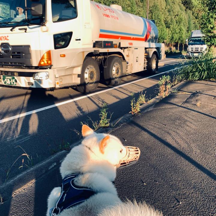 428b8f10 1172 4f2c 8ecc cf5d4087c564 1630445600705